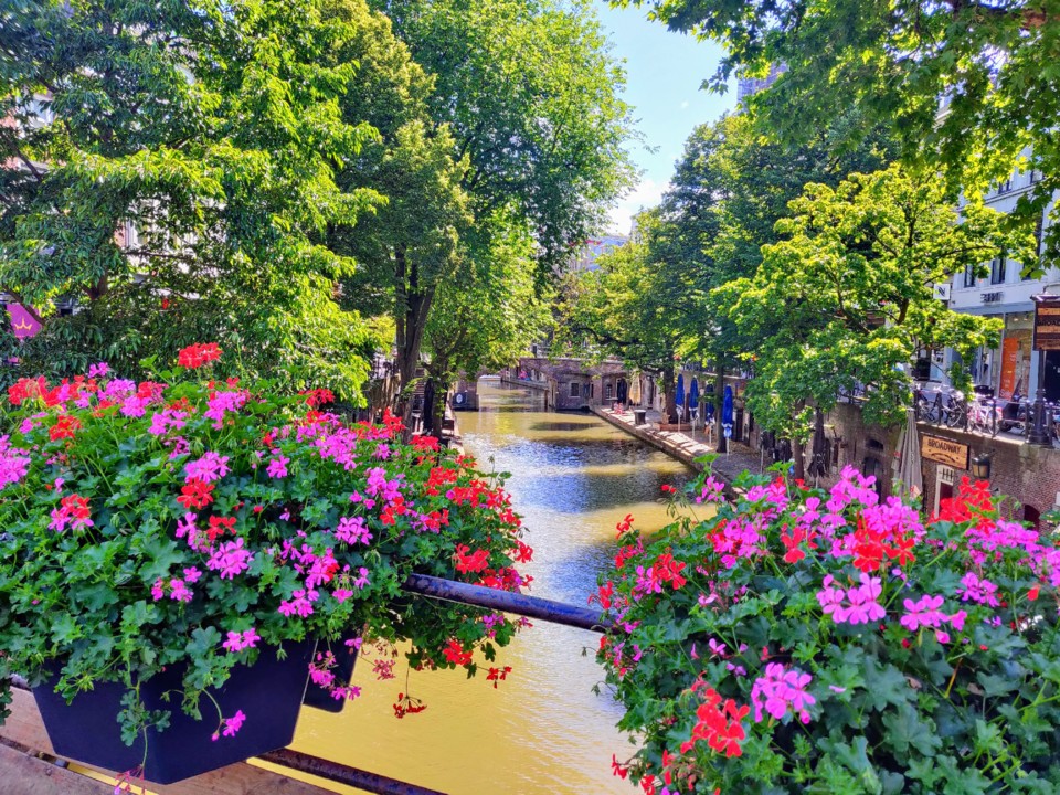 IMG_20200720_114935-EFFECTS.jpg IMG_20200720_114935-EFFECTS.jpg