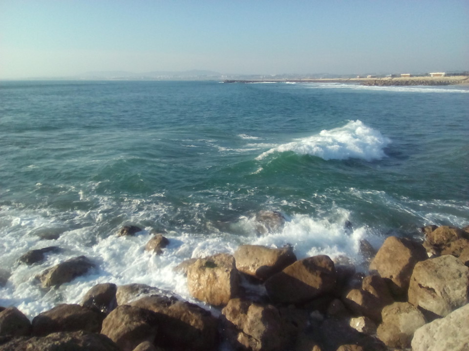 Foto Original. Costa. 2019. 02. jpg