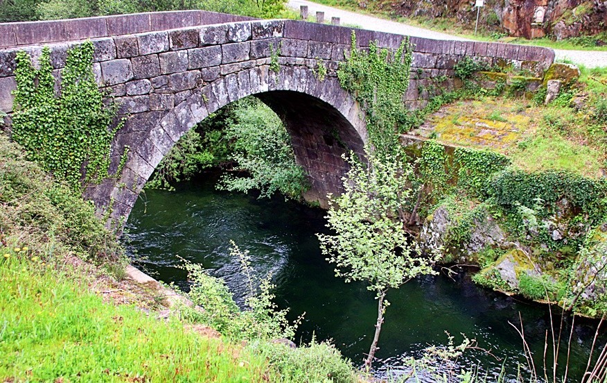 IMG_0773.JPG IMG_0773.JPG