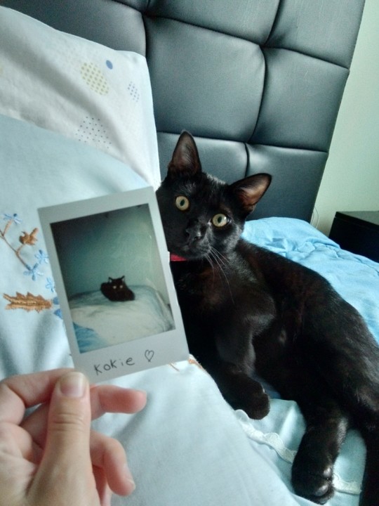 IMG_20191031_122213.jpg IMG_20191031_122213.jpg