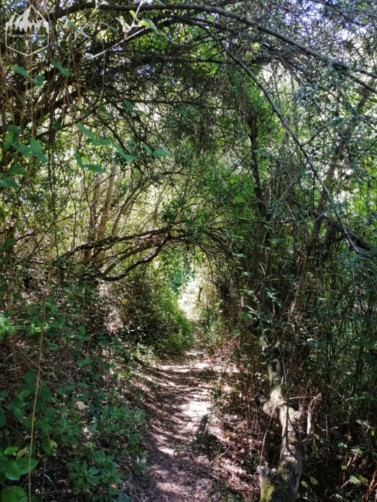 Photo_1596311966331.jpg Photo_1596311966331.jpg