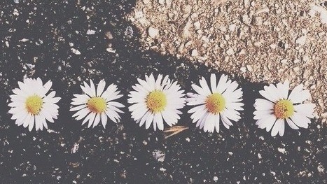 INSPIRAÇÕES DE OUTONO_FOTO4.jpg