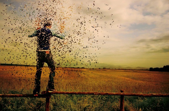 O que é Ilusão e o que é Real.jpg