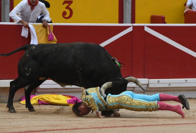 Colhida de Rubém Pinar-Pamplona 2023.jpeg