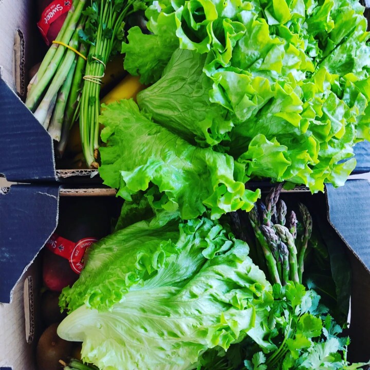 339911182_250779474046458_8008394182575176562_n.jp