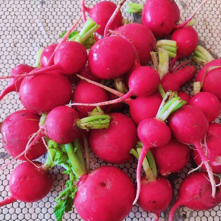 437852009_814697577354321_3138378994548817201_n.jp