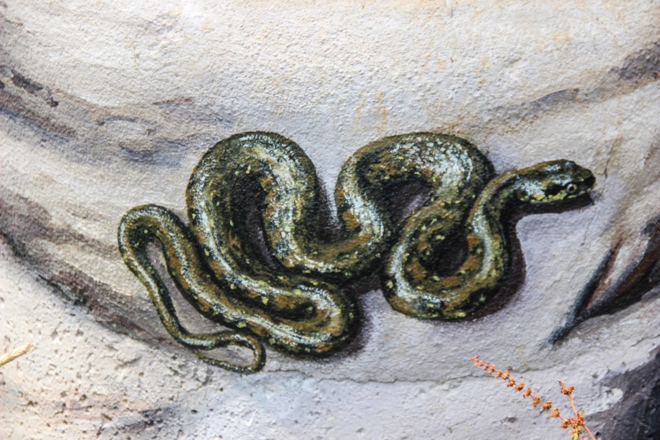 trilho das vinhas-45.jpg