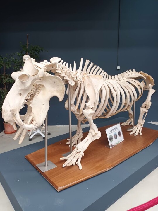 Não me canso disto ZOO9.jpg