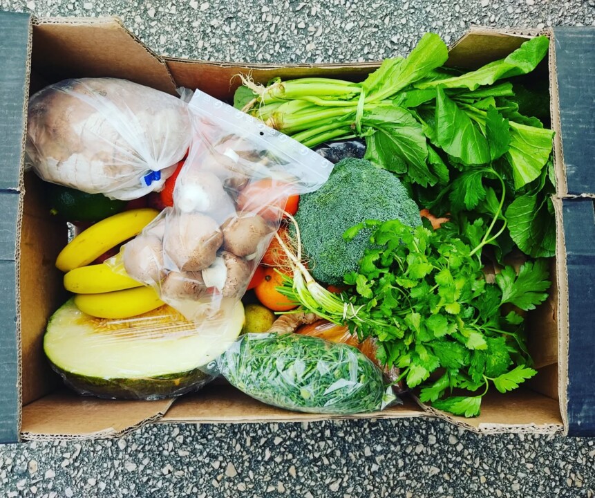 591167476_18515958742066958_8157400038390550842_n.