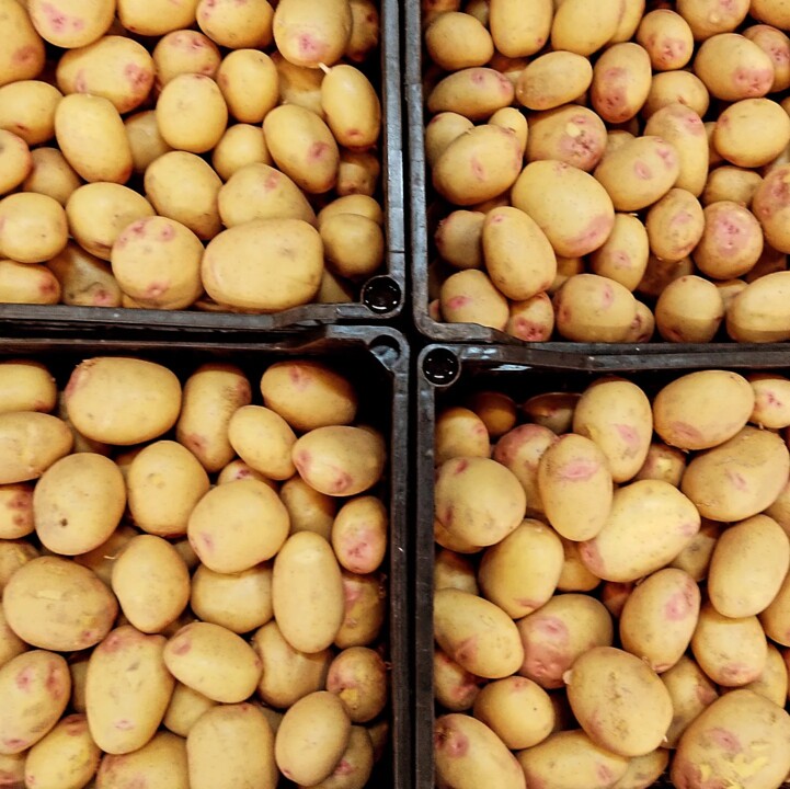 445545348_841584897998922_5248100210645244645_n.jp