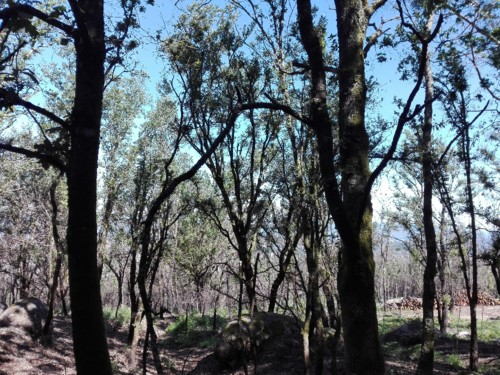 IMG_20180616_102231.jpg IMG_20180616_102231.jpg