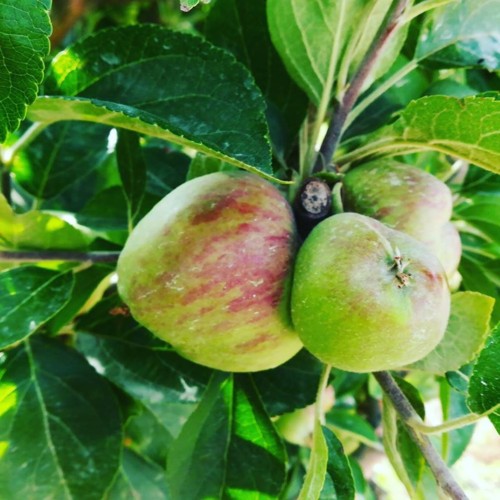 33944329_1104938846312542_6658248612260085760_n.jp