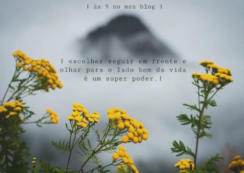 26733681_1706678642733358_8582605688159595933_n.jp