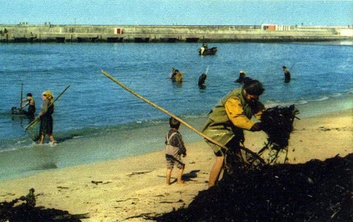 A visita do SANS PEUR, um barco de pesca Britânico de 1945