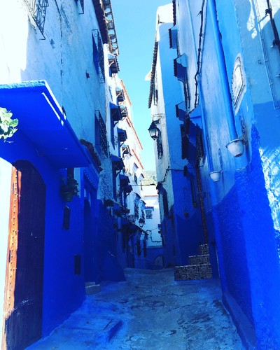 IMG_6718.JPG IMG_6718.JPG