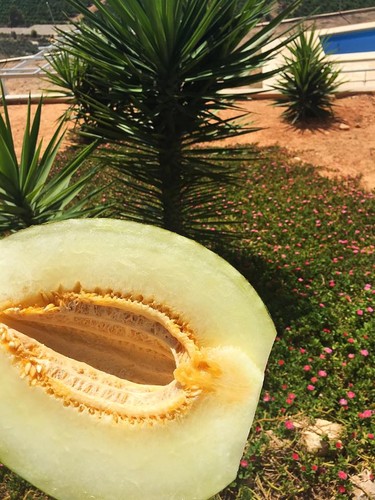 14237523_1084137021662606_3962751504479477362_n.jp 14237523_1084137021662606_3962751504479477362_n.jp