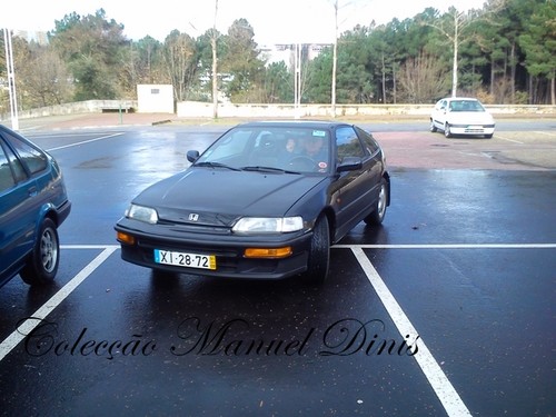 alem corgo Fevereiro 2016  (11).jpg