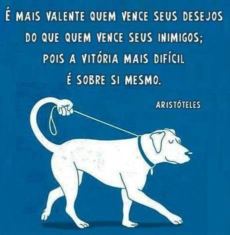 Aristoteles