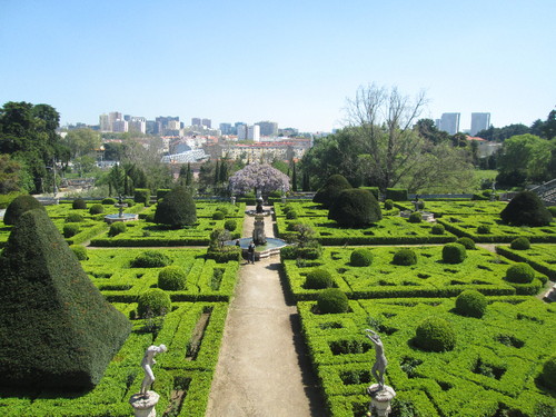 IMG_1781.JPG IMG_1781.JPG