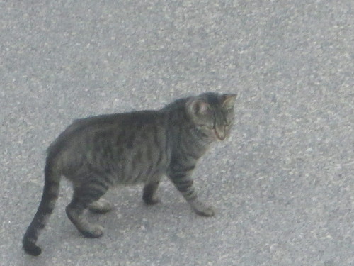 blog 004.jpg blog 004.jpg