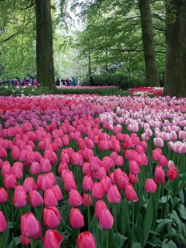 31483968_1665543156864662_3260984173237633024_n.jp