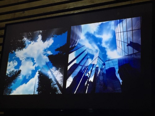 IMG_4684.JPG IMG_4684.JPG