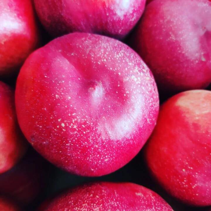 285844702_2328202930652788_8013393834929902870_n.j