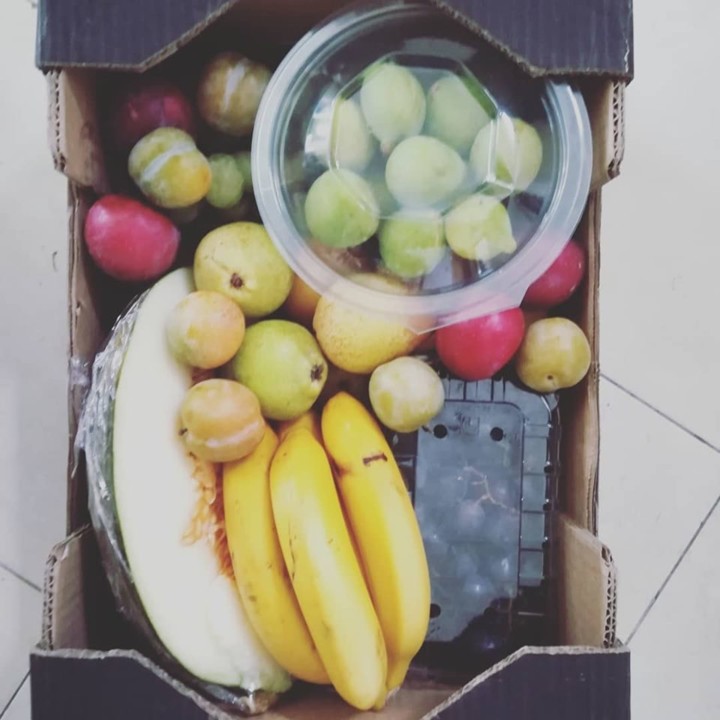 70378597_1463112693828487_6710775692922978304_n.jp