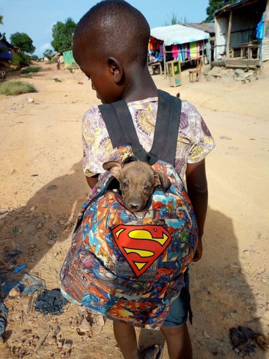 do “Rapaz que prendeu o vento”..jpg