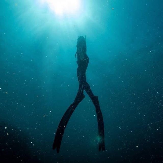 64545362_2201976296781171_7280497339047667120_n.jp 64545362_2201976296781171_7280497339047667120_n.jp