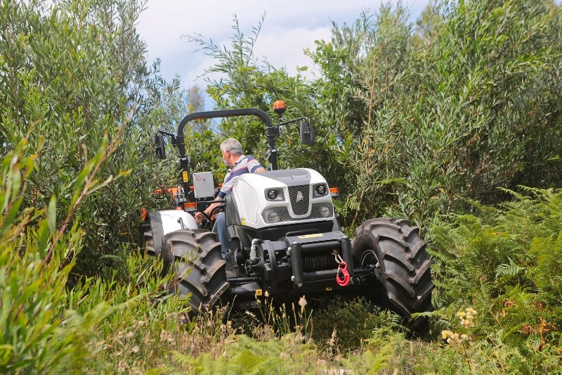 baldioribadancora (2).jpg