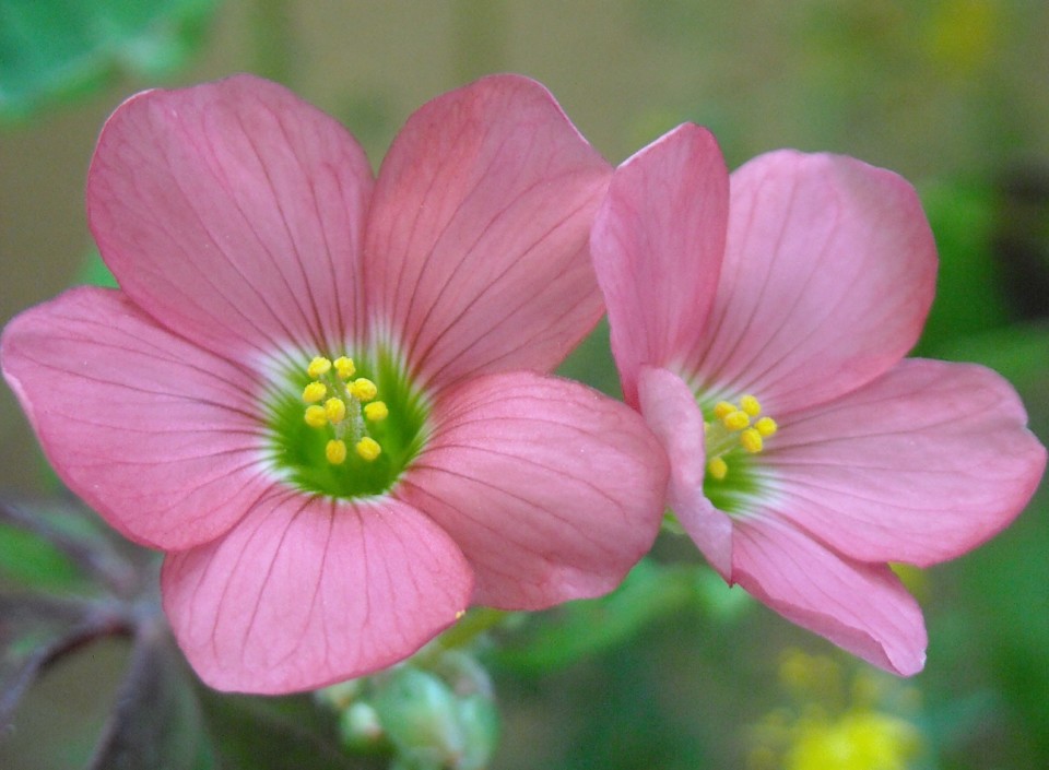 DSCN1490.JPG DSCN1490.JPG