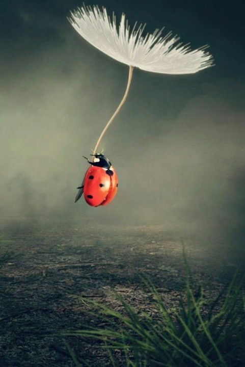 457a6c3ac1a951626e07f242184ab3a9.jpg 457a6c3ac1a951626e07f242184ab3a9.jpg