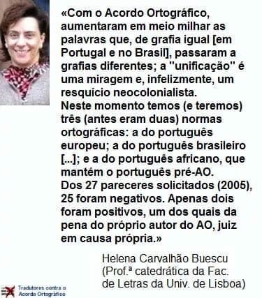 Helena Buescu.jpg