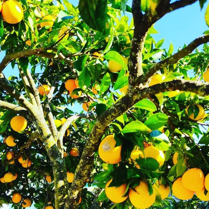 253912213_2160872300719186_8642729283447831602_n.j