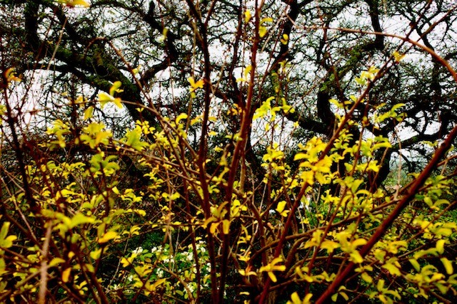 R0000220.jpg