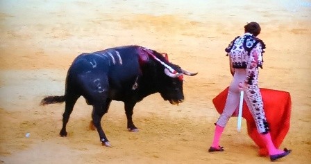 Finito de Córdoba 9.10.2020.JPG