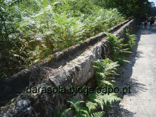 caminho_romano_arouca_09.JPG caminho_romano_arouca_09.JPG