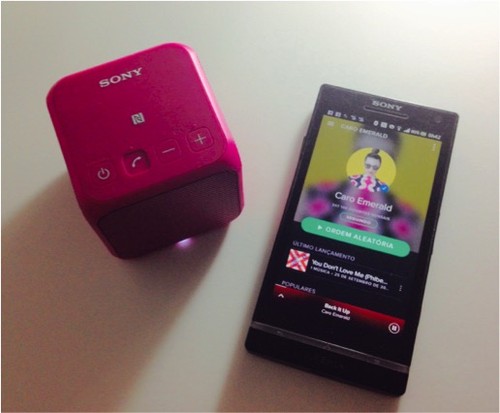 coluna SRSX11+tele.jpg