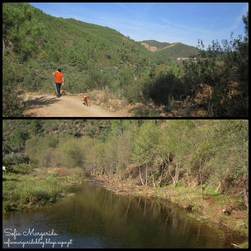 PicMonkey Collage4.png