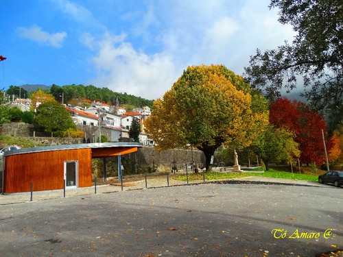 Fotos de Outono !!! 007.jpg