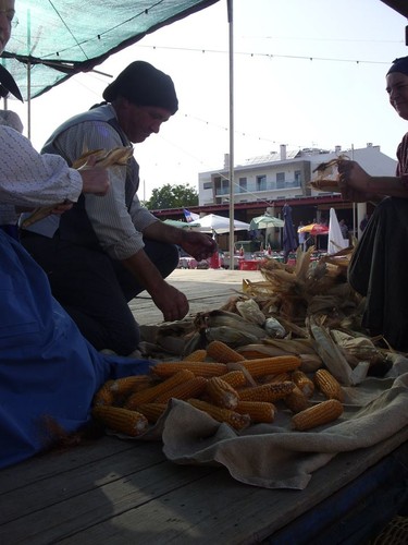 11831750_1622623224666709_7424958547107312651_n.jp