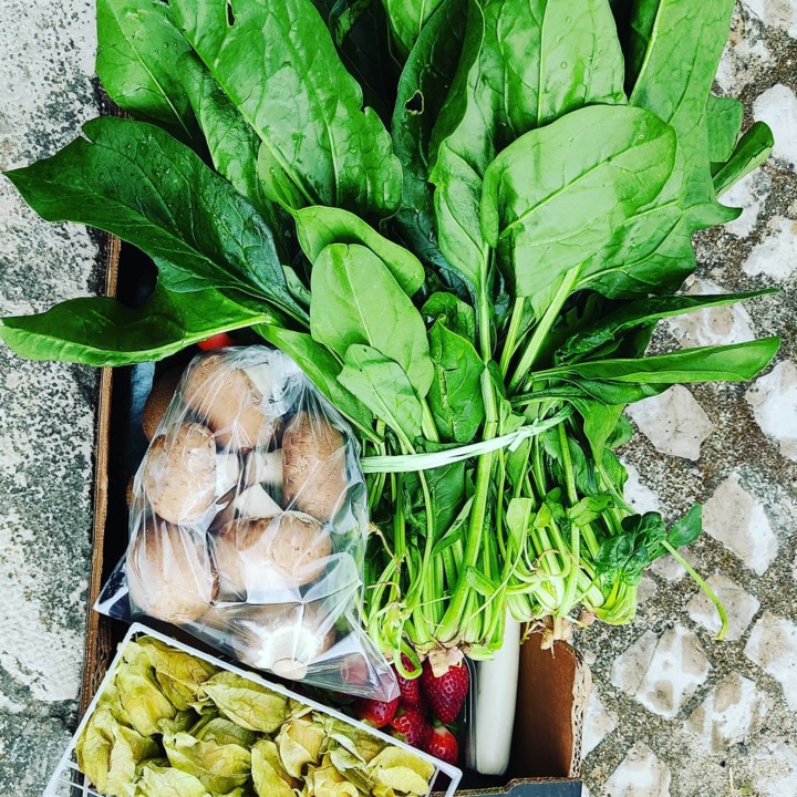 168535529_1988842747922143_6764399797516485123_n.j