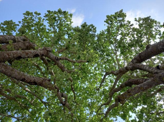 438781700_7389494764499098_3589783509381313271_n.j