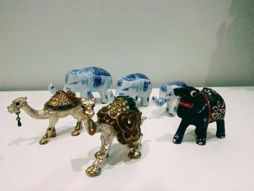 243998054_4553680414663490_1289796324266573899_n.j