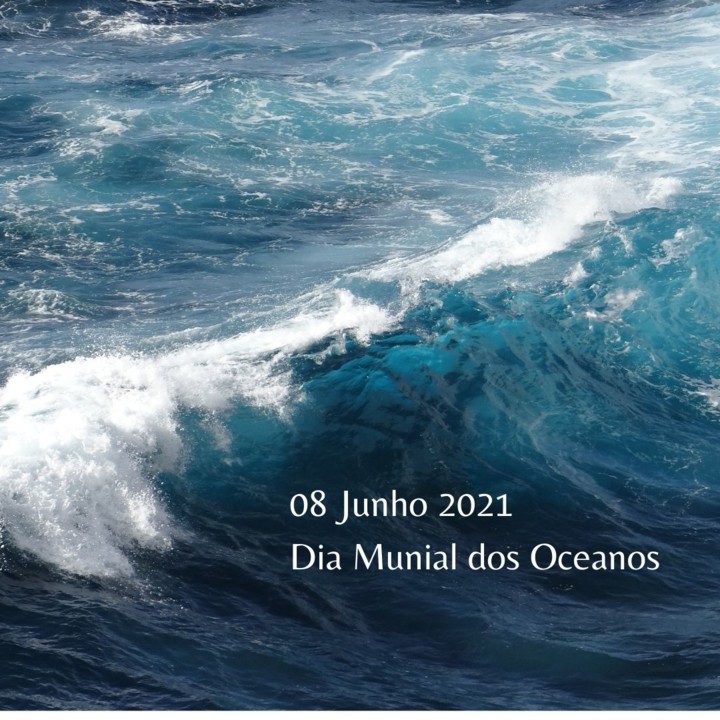 08 Junho 2021 Dia Mundial dos Oceanos.jpg