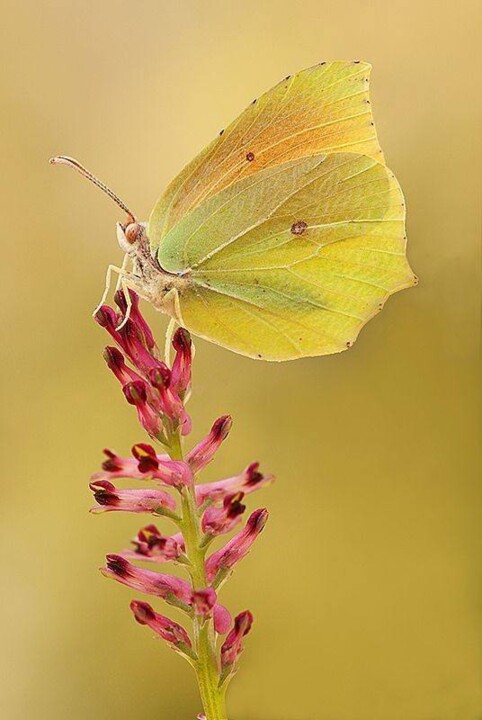 508415806_1270513104444540_3158903399483959542_n.j