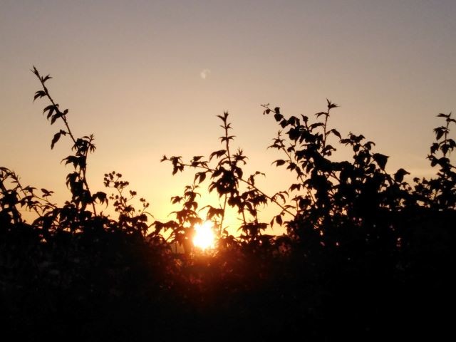 IMG_20210609_205134 - Cópia.jpg