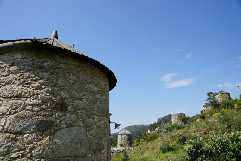 DSC05799.JPG DSC05799.JPG