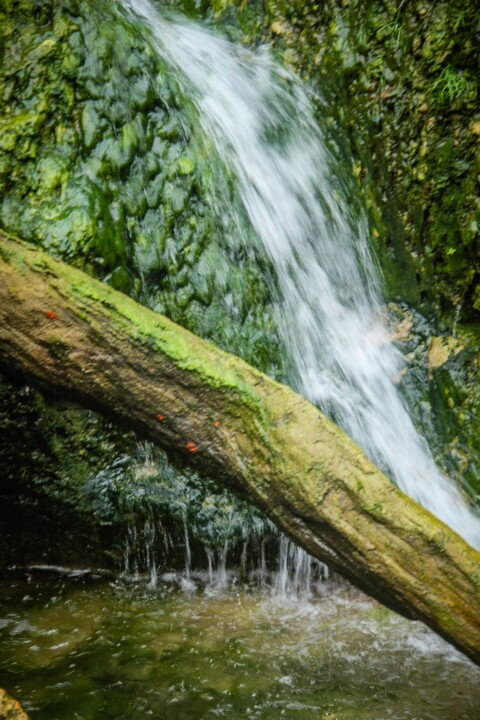 cascata do boição 10.jpg